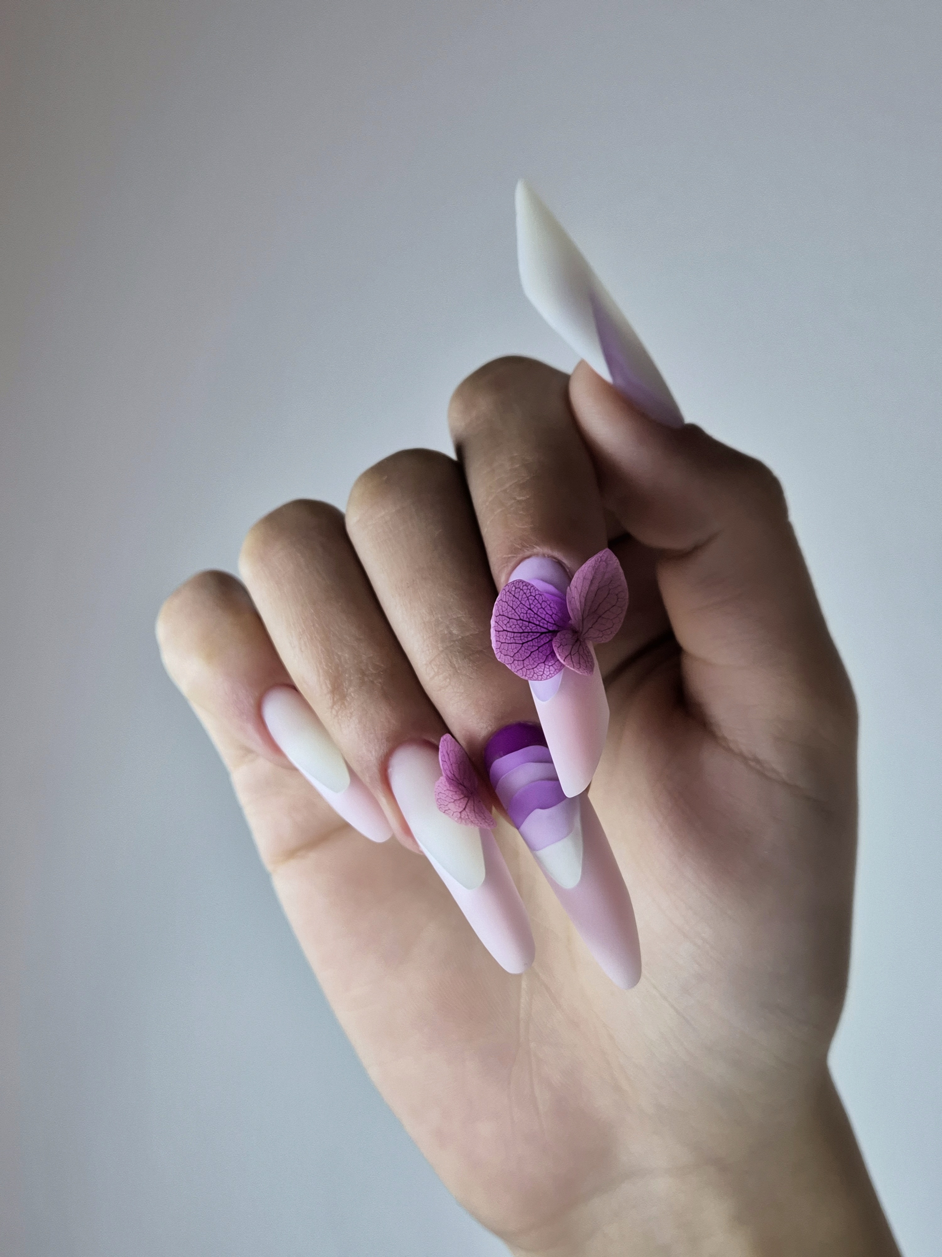 Nail Pro Technician Level 2 — 1